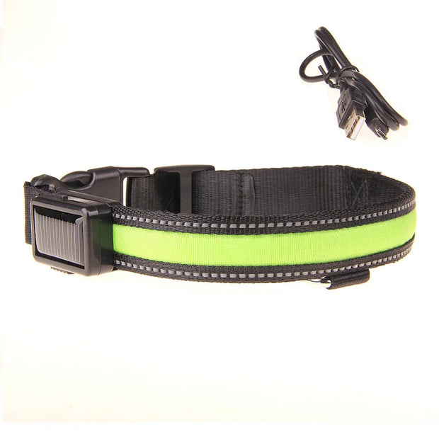 Solar USB Rechargeable LED Dog Collar – Adjustable Night Safety Light