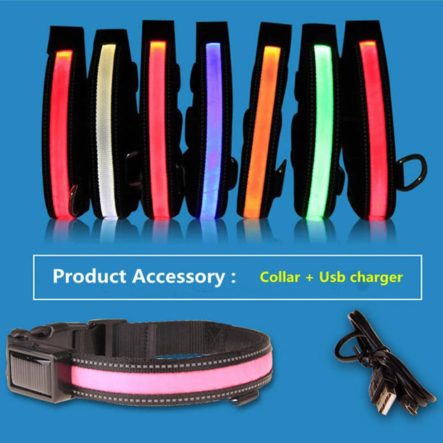 Solar USB Rechargeable LED Dog Collar – Adjustable Night Safety Light