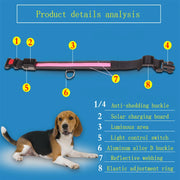Solar USB Rechargeable LED Dog Collar – Adjustable Night Safety Light