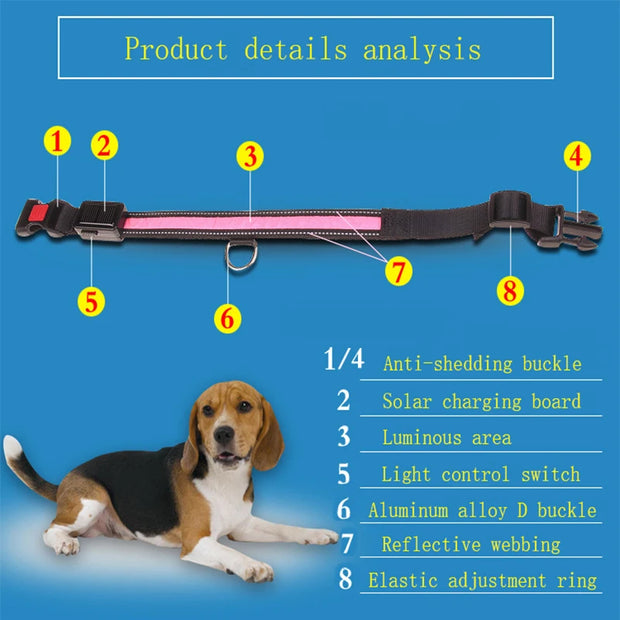 Solar USB Rechargeable LED Dog Collar – Adjustable Night Safety Light