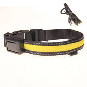 Solar USB Rechargeable LED Dog Collar – Adjustable Night Safety Light
