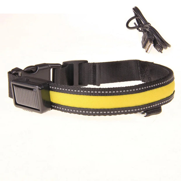 Solar USB Rechargeable LED Dog Collar – Adjustable Night Safety Light