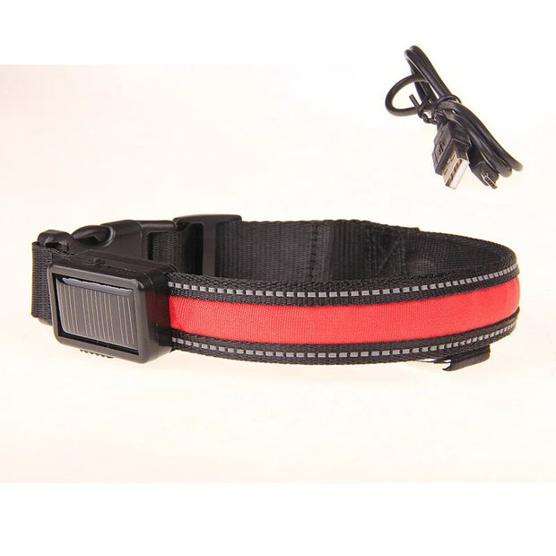 Solar USB Rechargeable LED Dog Collar – Adjustable Night Safety Light