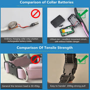 Solar USB Rechargeable LED Dog Collar – Adjustable Night Safety Light