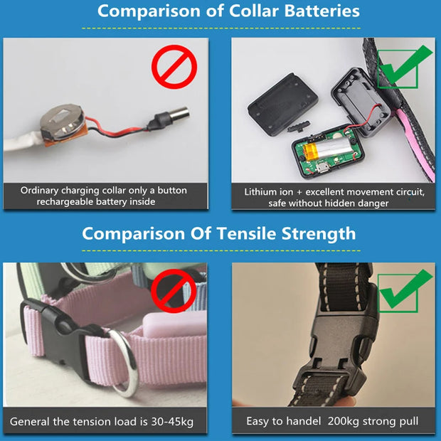 Solar USB Rechargeable LED Dog Collar – Adjustable Night Safety Light