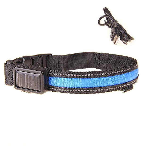 Solar USB Rechargeable LED Dog Collar – Adjustable Night Safety Light