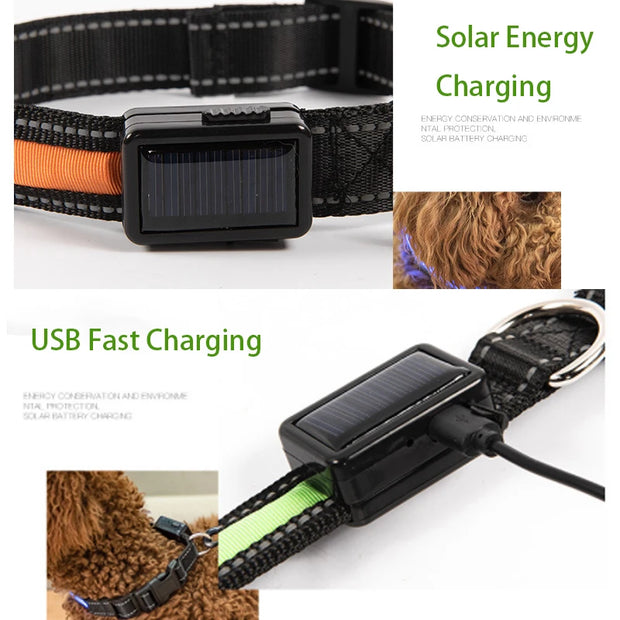 Solar USB Rechargeable LED Dog Collar – Adjustable Night Safety Light