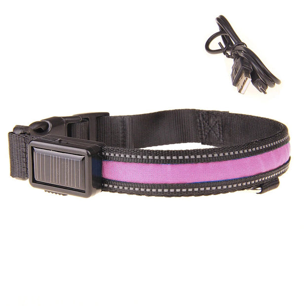 Solar USB Rechargeable LED Dog Collar – Adjustable Night Safety Light