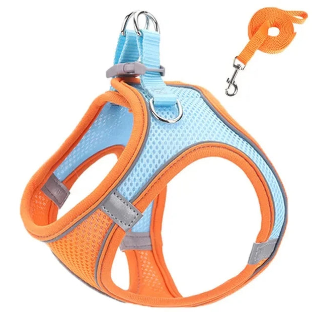 Reflective Dog Harness & Leash Set – Adjustable for Small Dogs & Cats