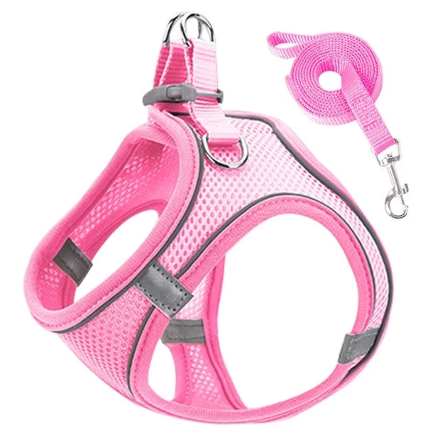 Reflective Dog Harness & Leash Set – Adjustable for Small Dogs & Cats