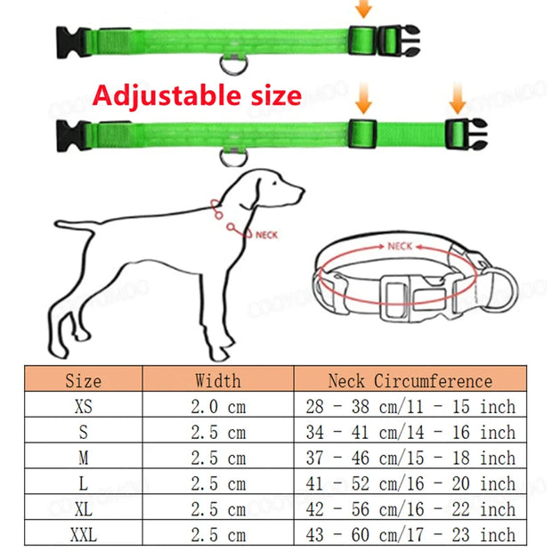 3-Mode LED Dog Collar – USB Rechargeable & Detachable Night Safety Light
