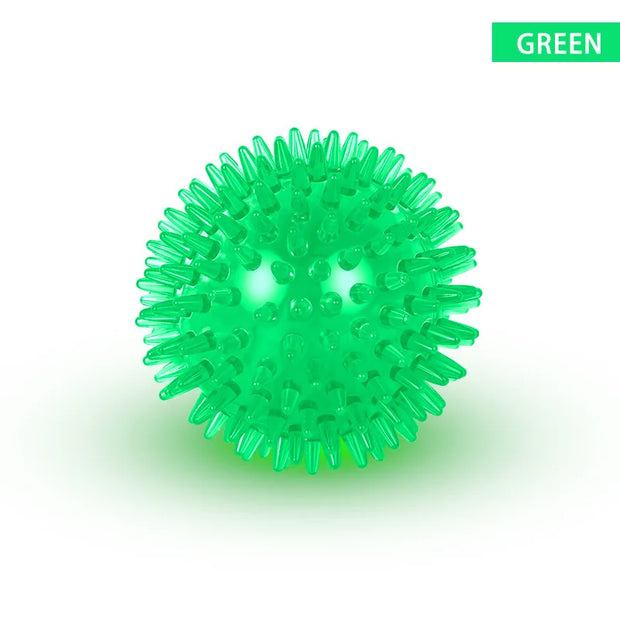 PawPlay Squeaky Ball – Training & Dental Chew Toy