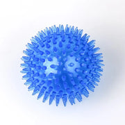 ChewBuddy Squeaky Ball – Training & Teeth Cleaning Toy