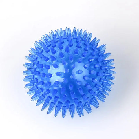 ChewBuddy Squeaky Ball – Training & Teeth Cleaning Toy