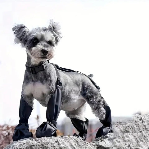 Waterproof Anti-Slip Dog Boots – Rugged Sole Paw Protectors