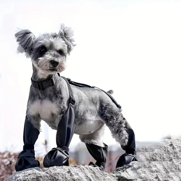 Waterproof Anti-Slip Dog Boots – Rugged Sole Paw Protectors