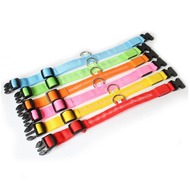 LED Dog Collar Light – Anti-Lost Night Glow with USB/Battery Option