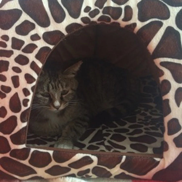 Strawberry Pet Cushion Basket – Soft Tent Bed for Small Dogs & Cats