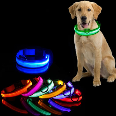 LED Dog Collar Light – Anti-Lost Night Glow with USB/Battery Option