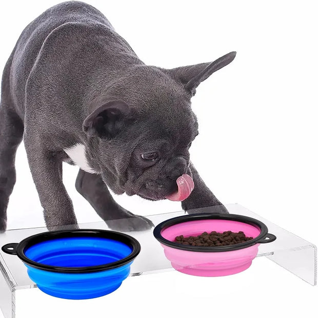 2-in-1 Folding Silicone Dog Bowl & Dispenser – Travel Ready with Carabiner