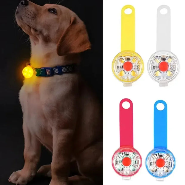 Weatherproof LED Pet Collar – USB Rechargeable Safety Light