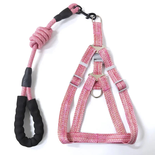 Adjustable Pet Harness & Leash Set – 1.2M for Small Dogs & Cats