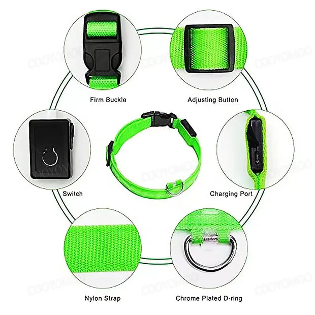 3-Mode LED Dog Collar – USB Rechargeable & Detachable Night Safety Light