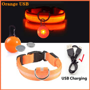 USB Glowing LED Pet Collar – Detachable Light for Night Safety