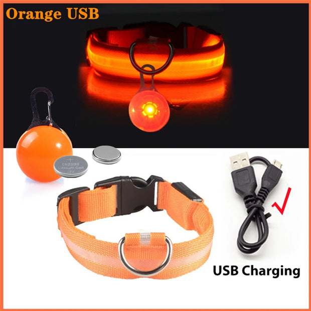 USB Glowing LED Pet Collar – Detachable Light for Night Safety