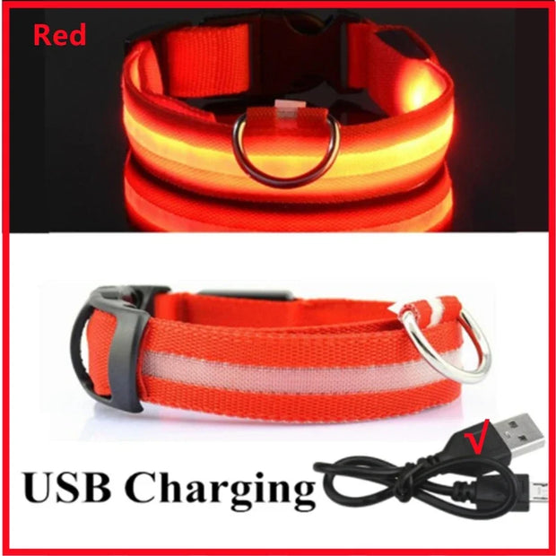 3-Mode LED Dog Collar – USB Rechargeable & Detachable Night Safety Light