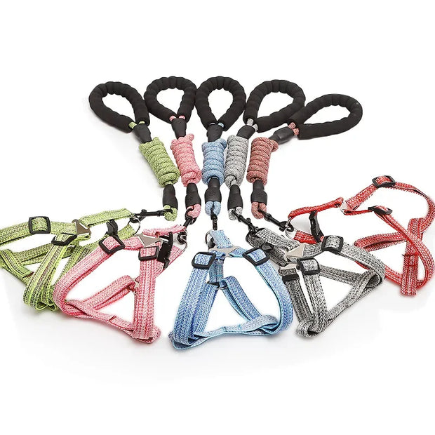Adjustable Pet Harness & Leash Set – 1.2M for Small Dogs & Cats