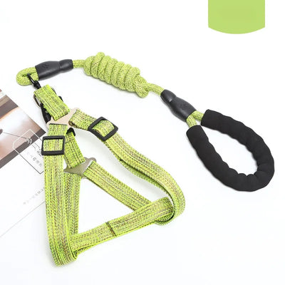 Adjustable Pet Harness & Leash Set – 1.2M for Small Dogs & Cats