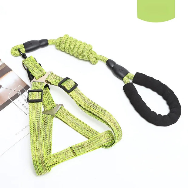 Adjustable Pet Harness & Leash Set – 1.2M for Small Dogs & Cats