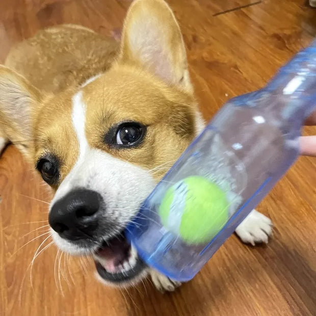 TPR Beer Bottle Chew Toy – With Tennis Ball & Squeaker for Dogs