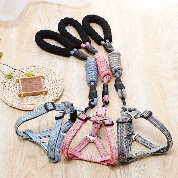 Adjustable Pet Harness & Leash Set – 1.2M for Small Dogs & Cats