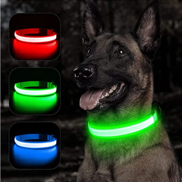USB Glowing LED Pet Collar – Detachable Light for Night Safety