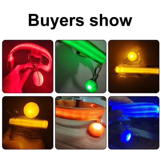 USB Glowing LED Pet Collar – Detachable Light for Night Safety