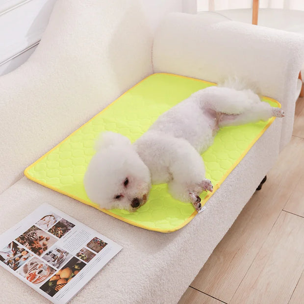 Washable Dog Urine Pads – Reusable, Anti-Slip Puppy Training Mat