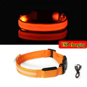 LED Dog Collar Light – Anti-Lost Night Glow with USB/Battery Option