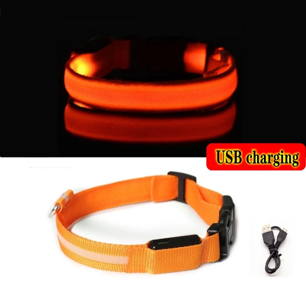 LED Dog Collar Light – Anti-Lost Night Glow with USB/Battery Option