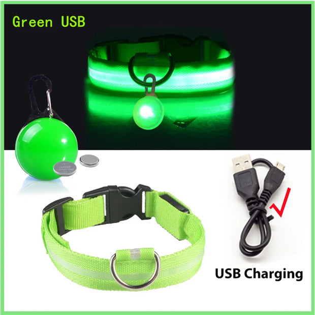 USB Glowing LED Pet Collar – Detachable Light for Night Safety
