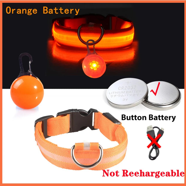 USB Glowing LED Pet Collar – Detachable Light for Night Safety