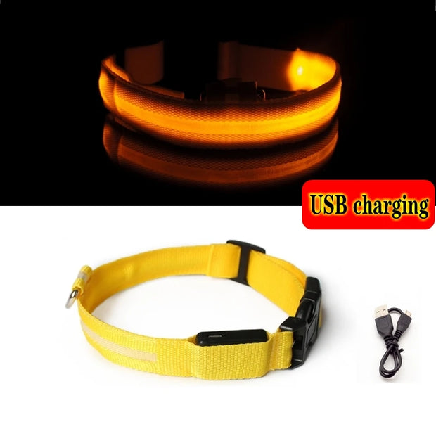 LED Dog Collar Light – Anti-Lost Night Glow with USB/Battery Option