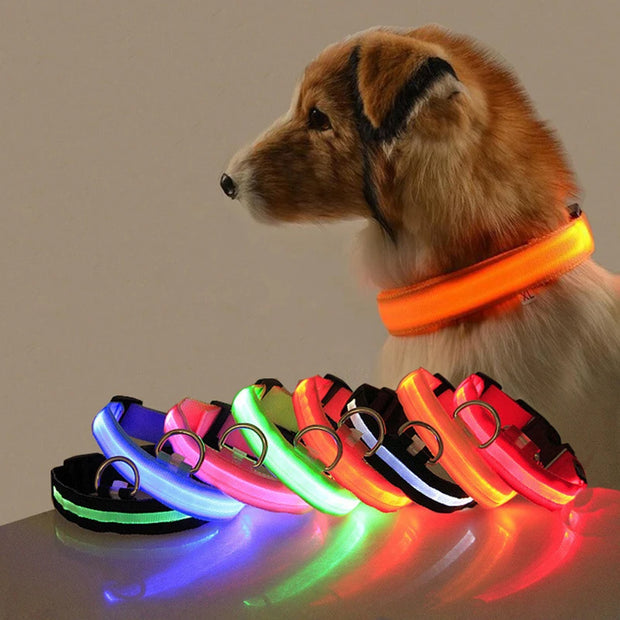 LED Dog Collar Light – Anti-Lost Night Glow with USB/Battery Option