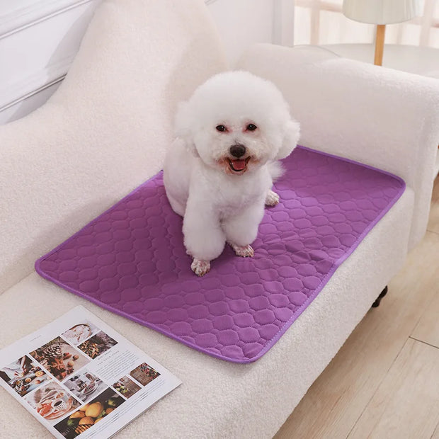 Washable Dog Urine Pads – Reusable, Anti-Slip Puppy Training Mat