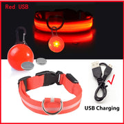 USB Glowing LED Pet Collar – Detachable Light for Night Safety