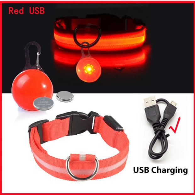 USB Glowing LED Pet Collar – Detachable Light for Night Safety