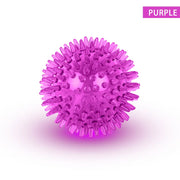 PawPlay Squeaky Ball – Training & Dental Chew Toy