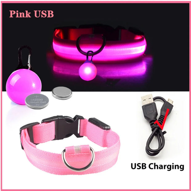 USB Glowing LED Pet Collar – Detachable Light for Night Safety