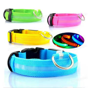 3-Mode LED Dog Collar – USB Rechargeable & Detachable Night Safety Light
